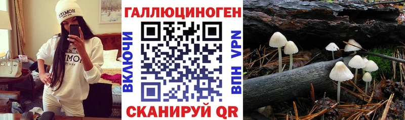 магазин    Новомосковск  Псилоцибиновые грибы прущие грибы 